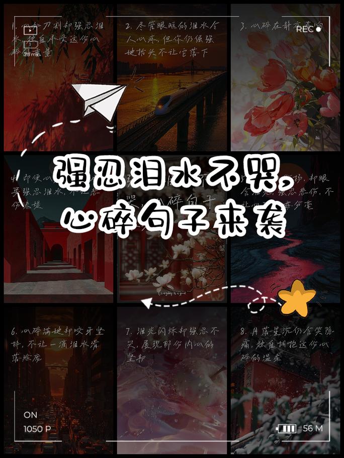 最后的几句碎碎念
