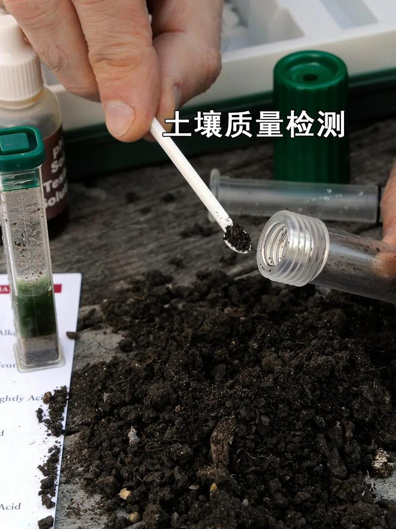 实际使用怎么测?分享我的土办法