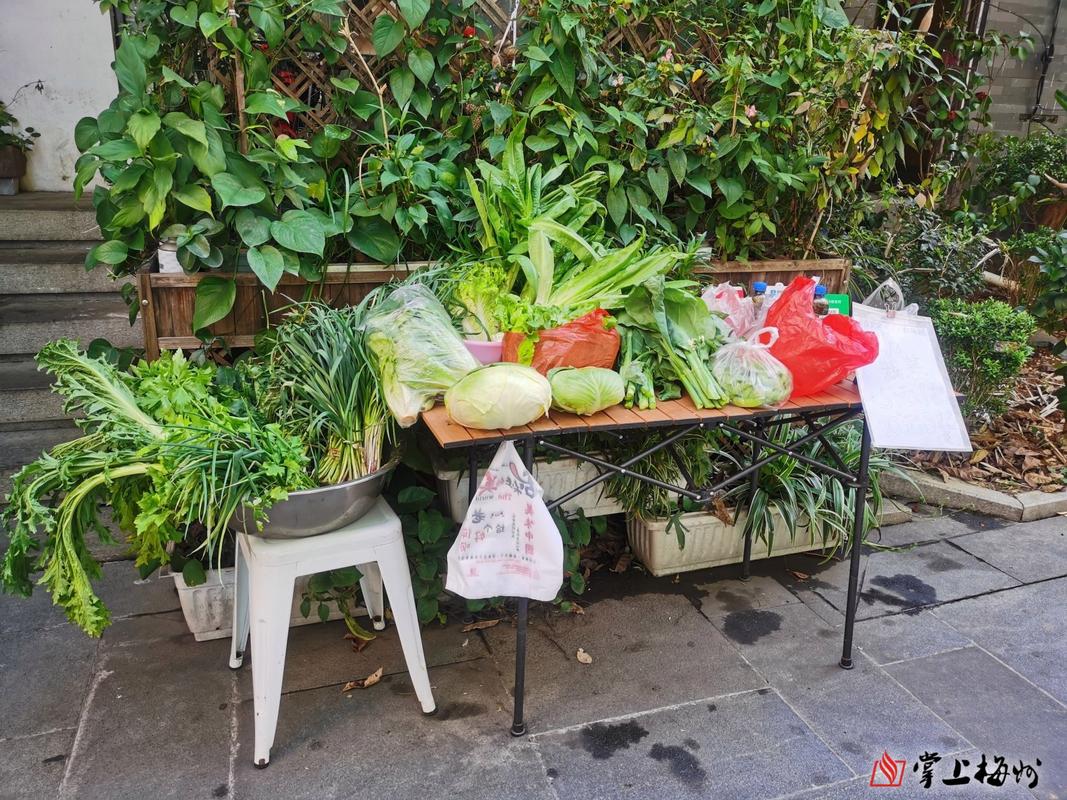 老小区门口露天菜摊场景