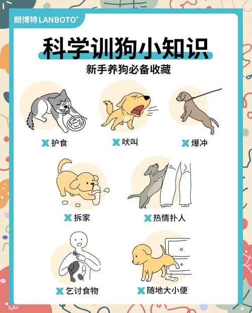 新手训狗，最容易踩的几个坑