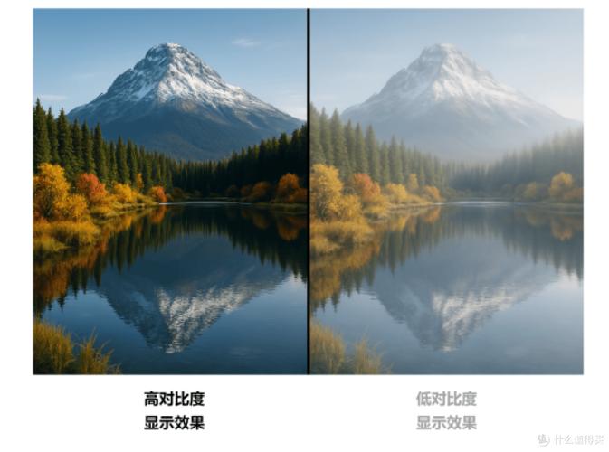 滤镜强度拉满vs拉低效果对比图