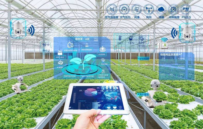 江苏江心洲6G物联网农业试验场实拍