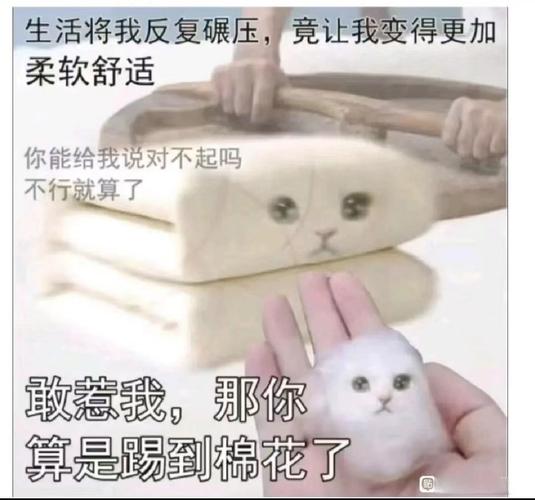 真惹了麻烦，按这几步来