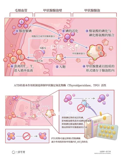 lecanemab药物分子结构及抗体作用机制图