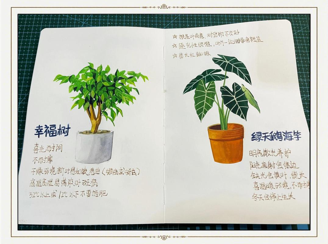 家庭日常:从一株植物开始的对话