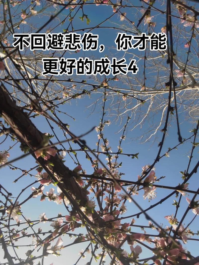 有些伤，需要被看见才能好