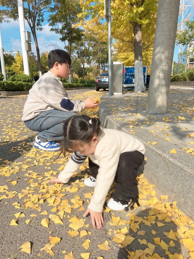 亲子蹲在小区银杏树下捡落叶