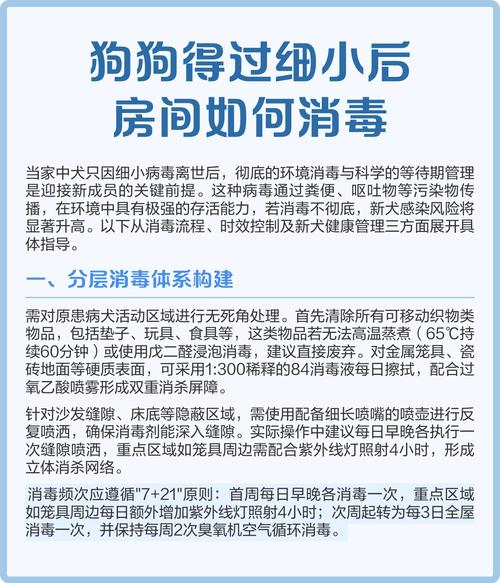 家庭环境犬细小病毒消毒操作