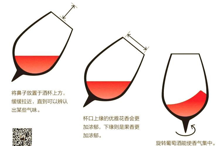 红酒品鉴摇杯闻香的正确步骤示意图