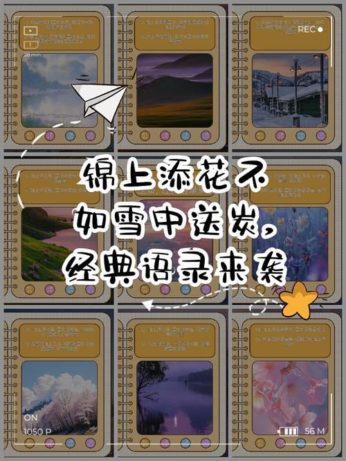 联系导师：不是锦上添花，是雪中送炭