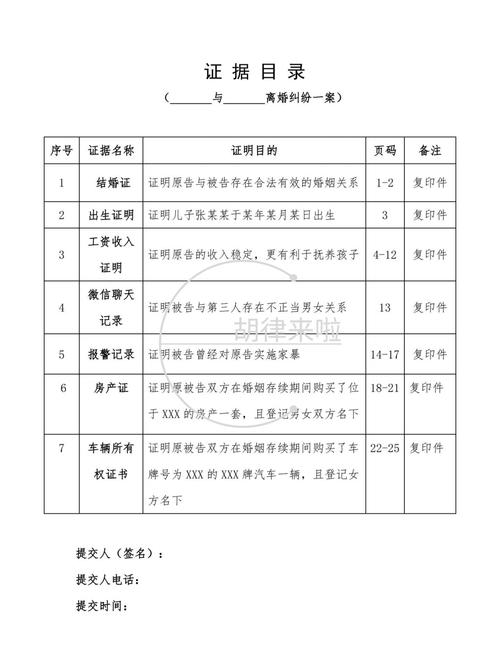 上海离婚诉讼证据清单excel模板截图