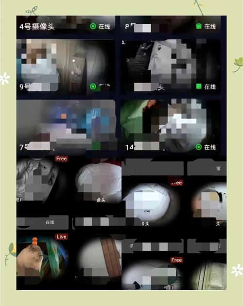 纪录片拍摄公共区域隐私边界示意图
