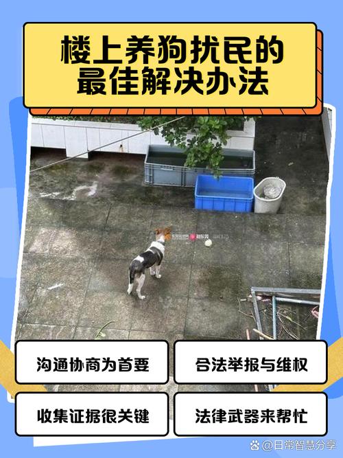 小区养犬扰民时间水印录音证据留存
