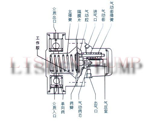 工业气动隔膜泵内部结构剖面图