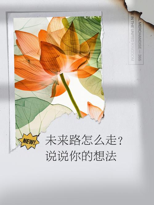 七、未来会怎么走?