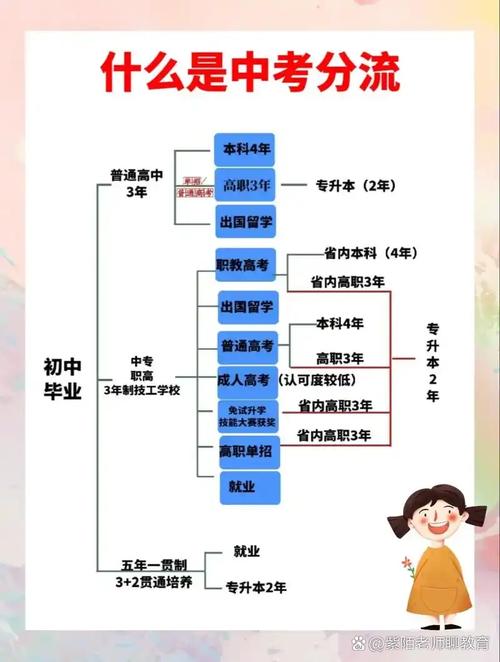 中考普职分流政策示意图