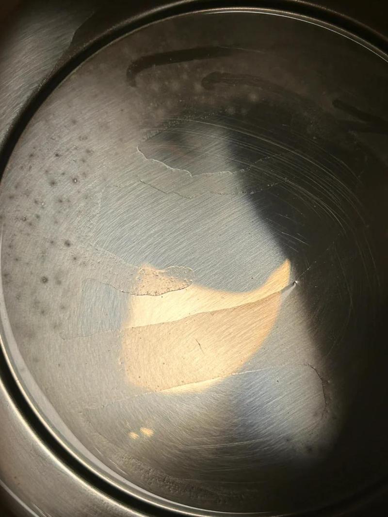 滤水壶壶盖内侧霉菌滋生特写
