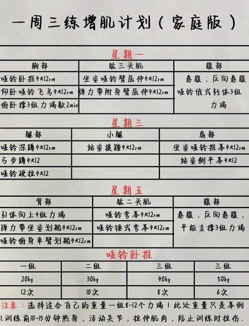 新手一周三次在家健身计划表