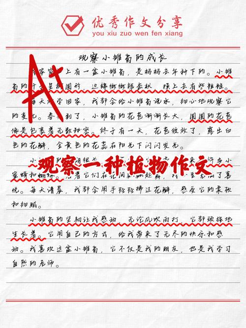 观察你的盆栽，它比你想的诚实