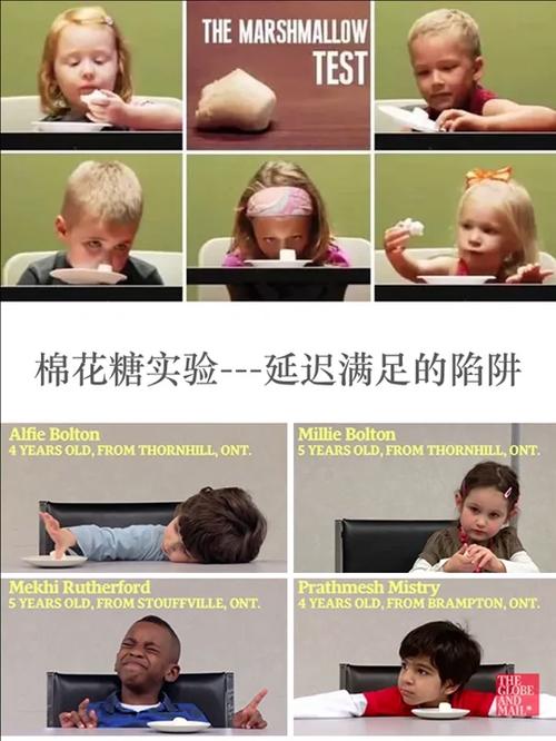 斯坦福棉花糖实验儿童独自等待房间布置示意图