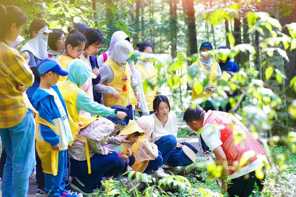 乡村小学生在山林中进行自然观察课程