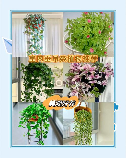 室内垂吊绿植防漏水双层花盆系统