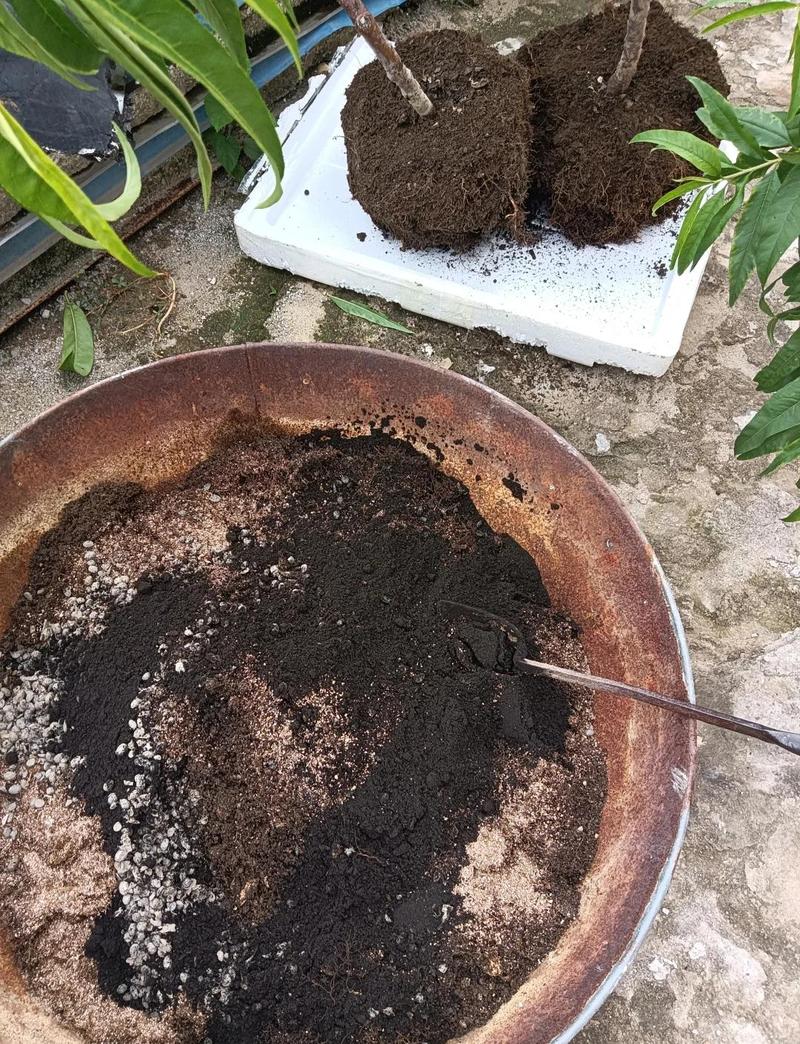 施肥的作死操作实录