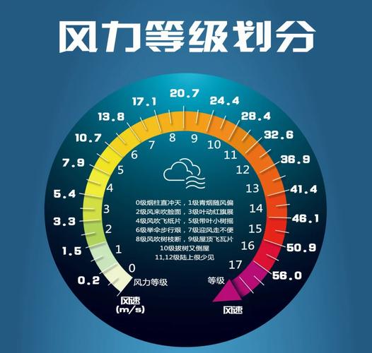 三、司法数据里的风向标