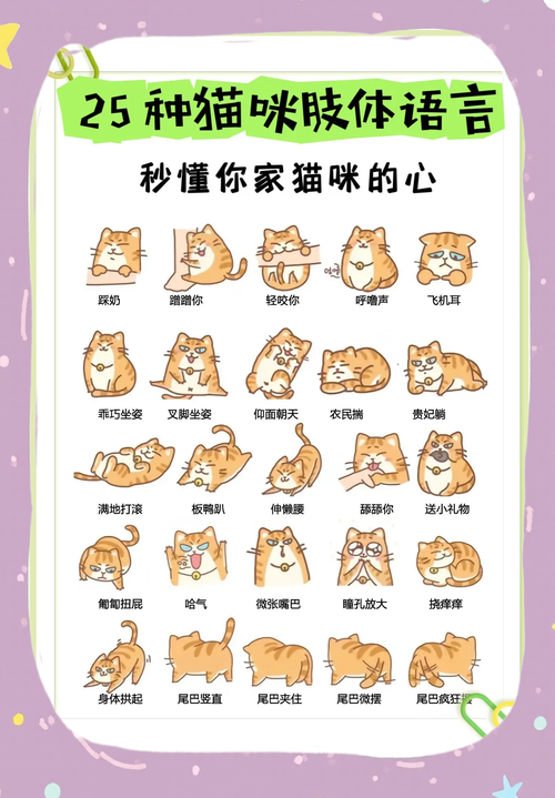 解读宠物的语言,其实没那么难