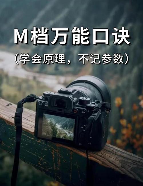 拍摄:别信自动档,光线才是王道