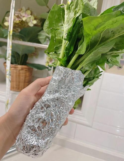 厨房纸包裹绿叶菜天然保鲜步骤图