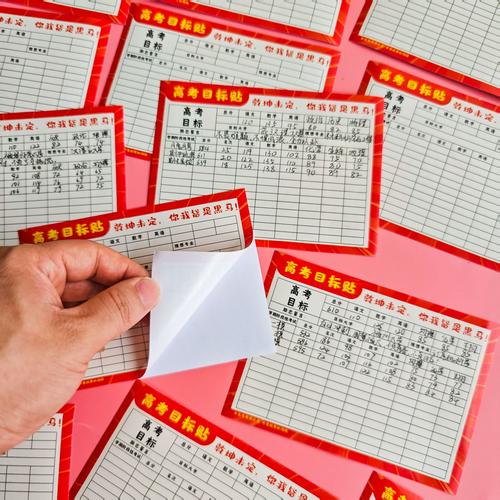高中高三升学目标分层规划手写表