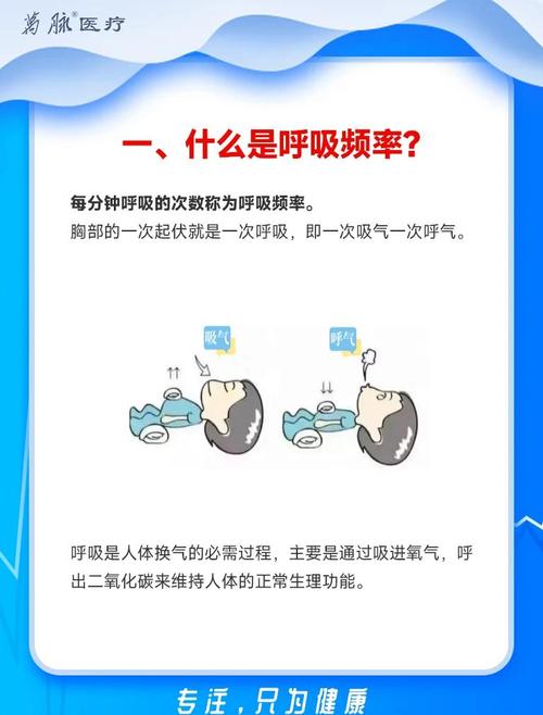 波动是过程的呼吸,不是噪音