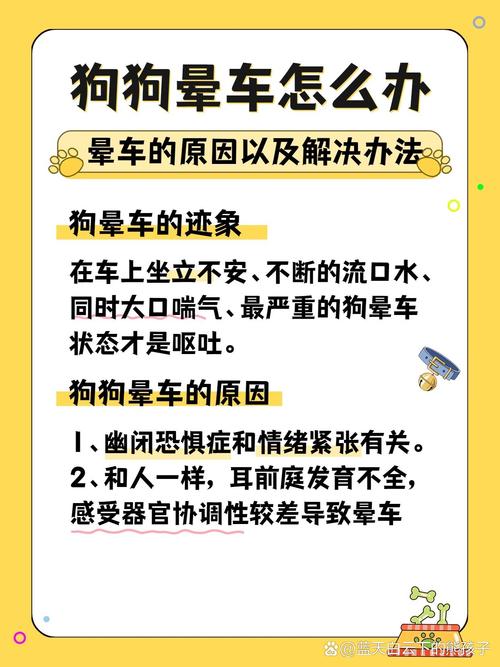 宠物晕车症状识别及护理图