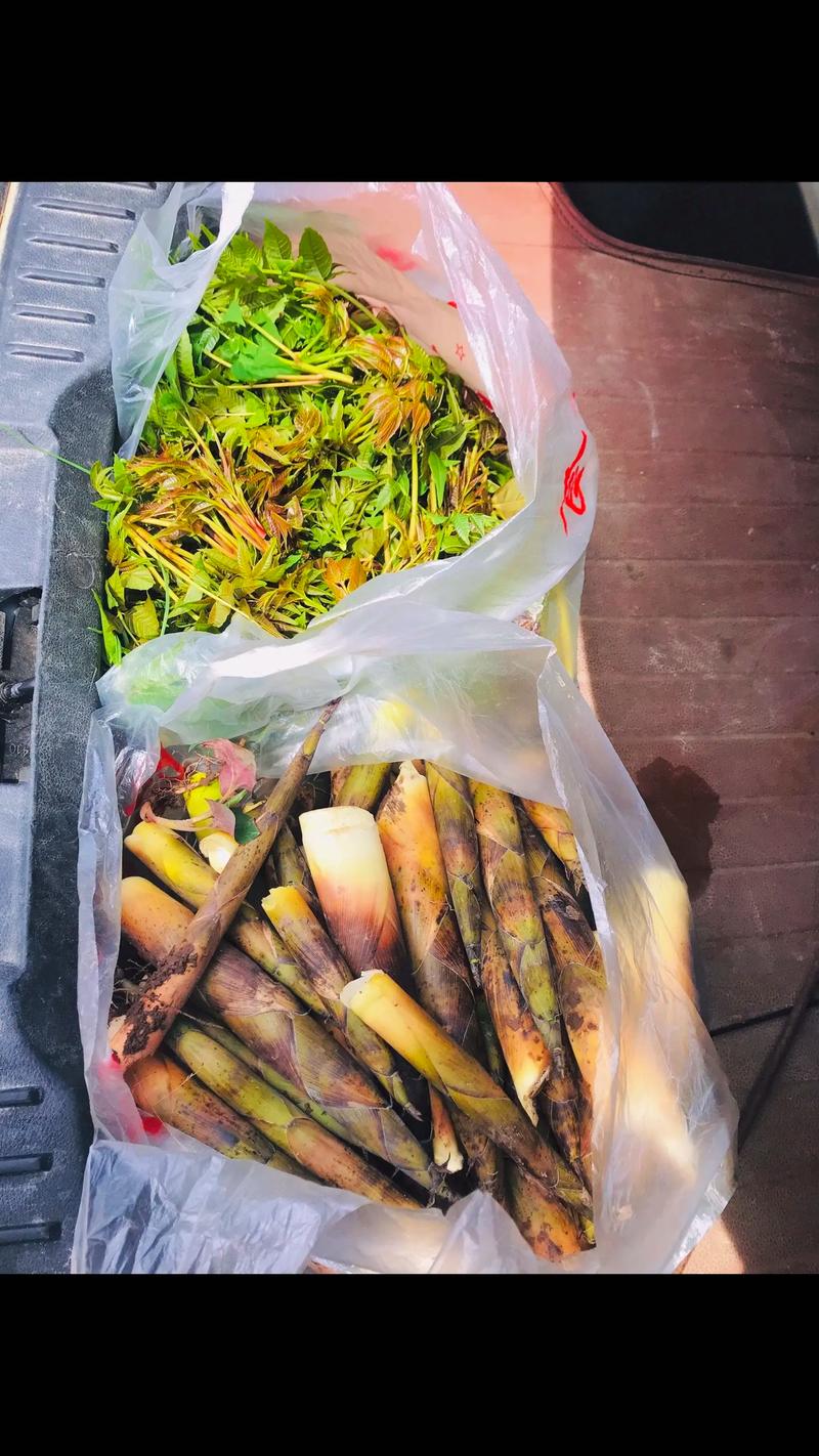 春日露天菜场当季春笋香椿实拍