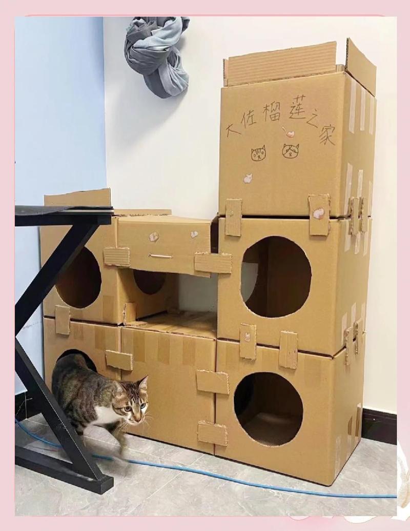 小学生动手制作猫窝项目式学习