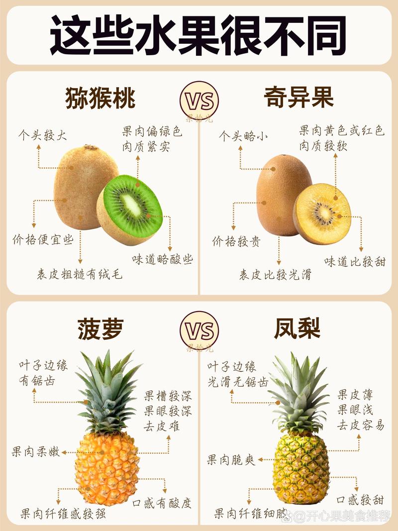 热带水果属性差异对比图 榴莲山竹荔枝火龙果