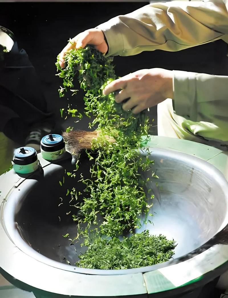 湖北南漳磨坪贡茶手工杀青制茶场景