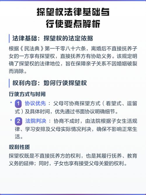 探望权法律条文解释图