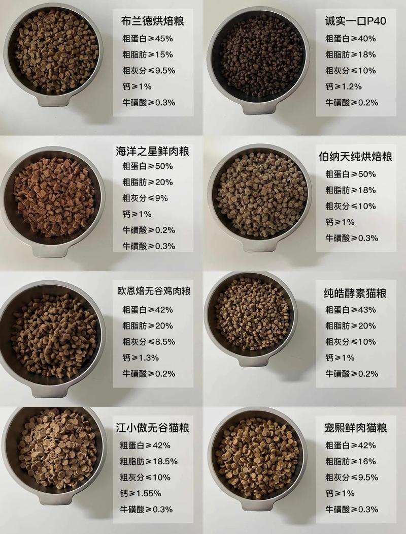 对比优质湿猫粮与干猫粮的配料表特写
