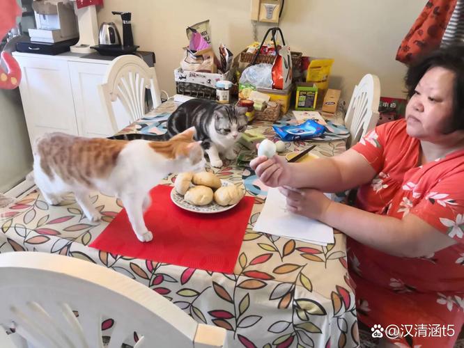 一家三口在阳台给宠物添粮的松弛日常