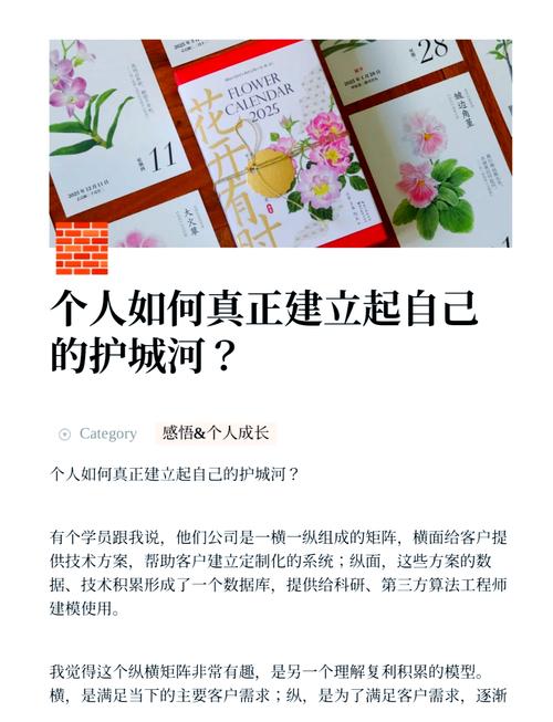 个人能力组合护城河模型图