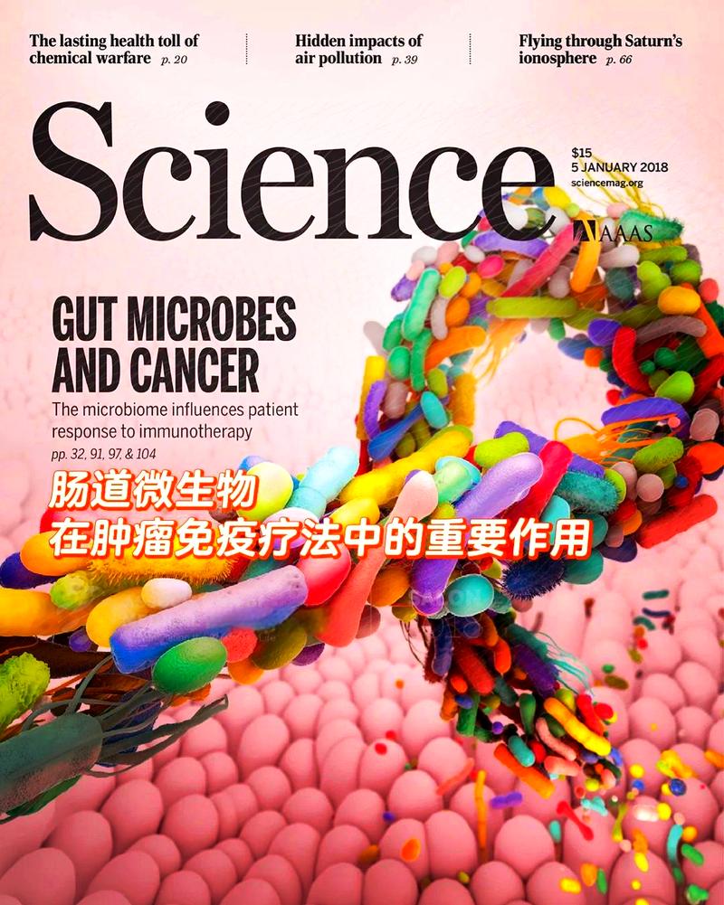 除了吃和治病，生物技术还在悄悄救地球