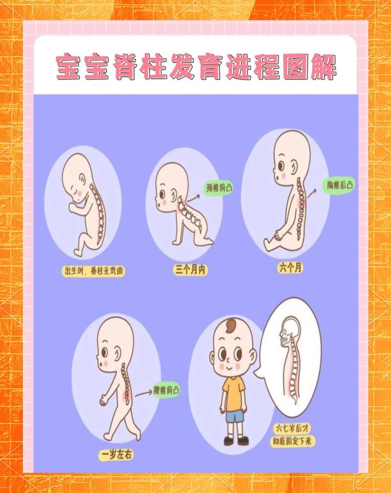 宝宝脊柱发育月龄对应对比图