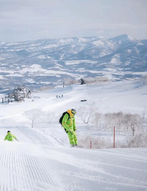北海道二世谷粉雪树林滑雪者远景