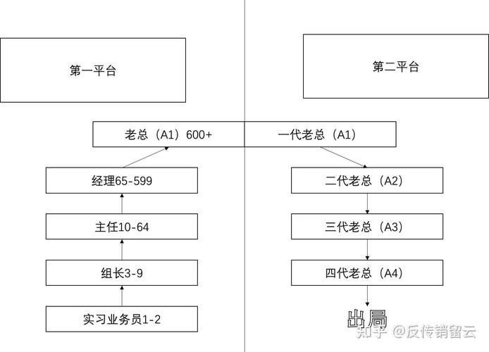 传销不同参与主体法律责任划分表