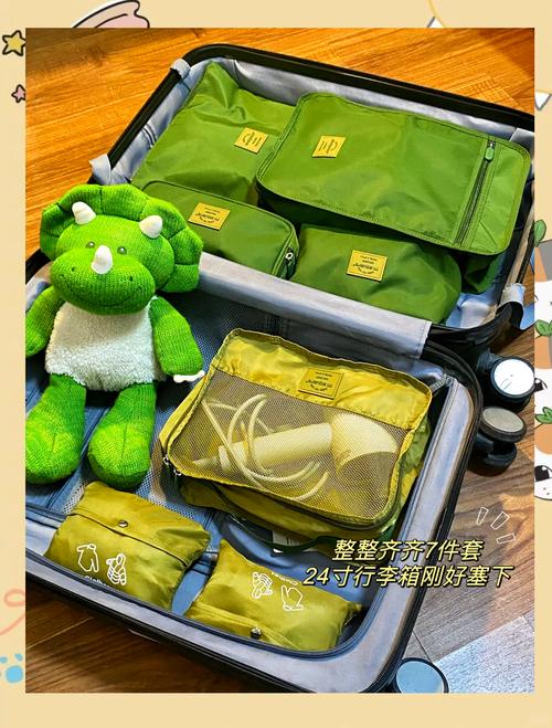 亲子旅行行李物品全景平铺展示