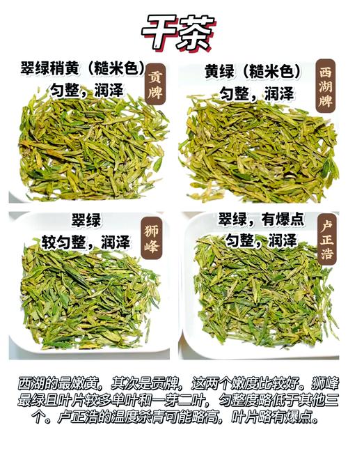 不同水质冲泡龙井茶汤色对比图