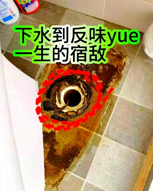 全查完还反味?别忘了这些隐形死角