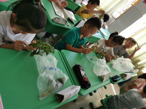 小学科学课堂学生对植物生长现象举手提问场景图